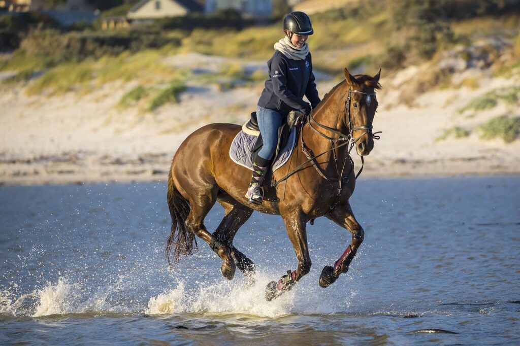 Bilden visar en person som rider på en häst. Ridutrustning och hästutrustning hittar du nu enkelt online både för ridsport och hästsport i stort.